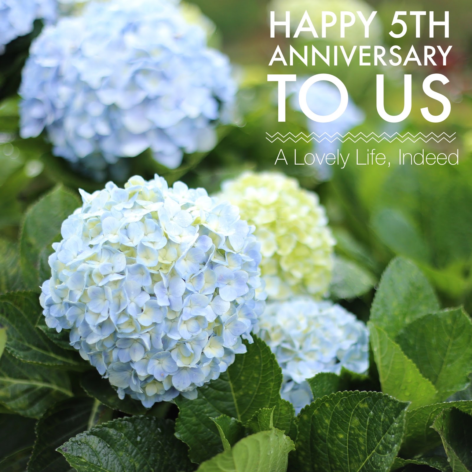 A Lovely Life, Indeed: Happy 5th Anniversary to Us!