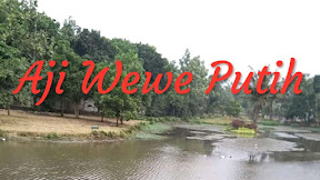 Aji Wewe Putih Ilmu Menghilang Bantuan Siluman