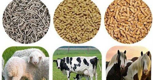 Market Reports on Saudi Arabia: Saudi Arabia Prepared Animal Feed