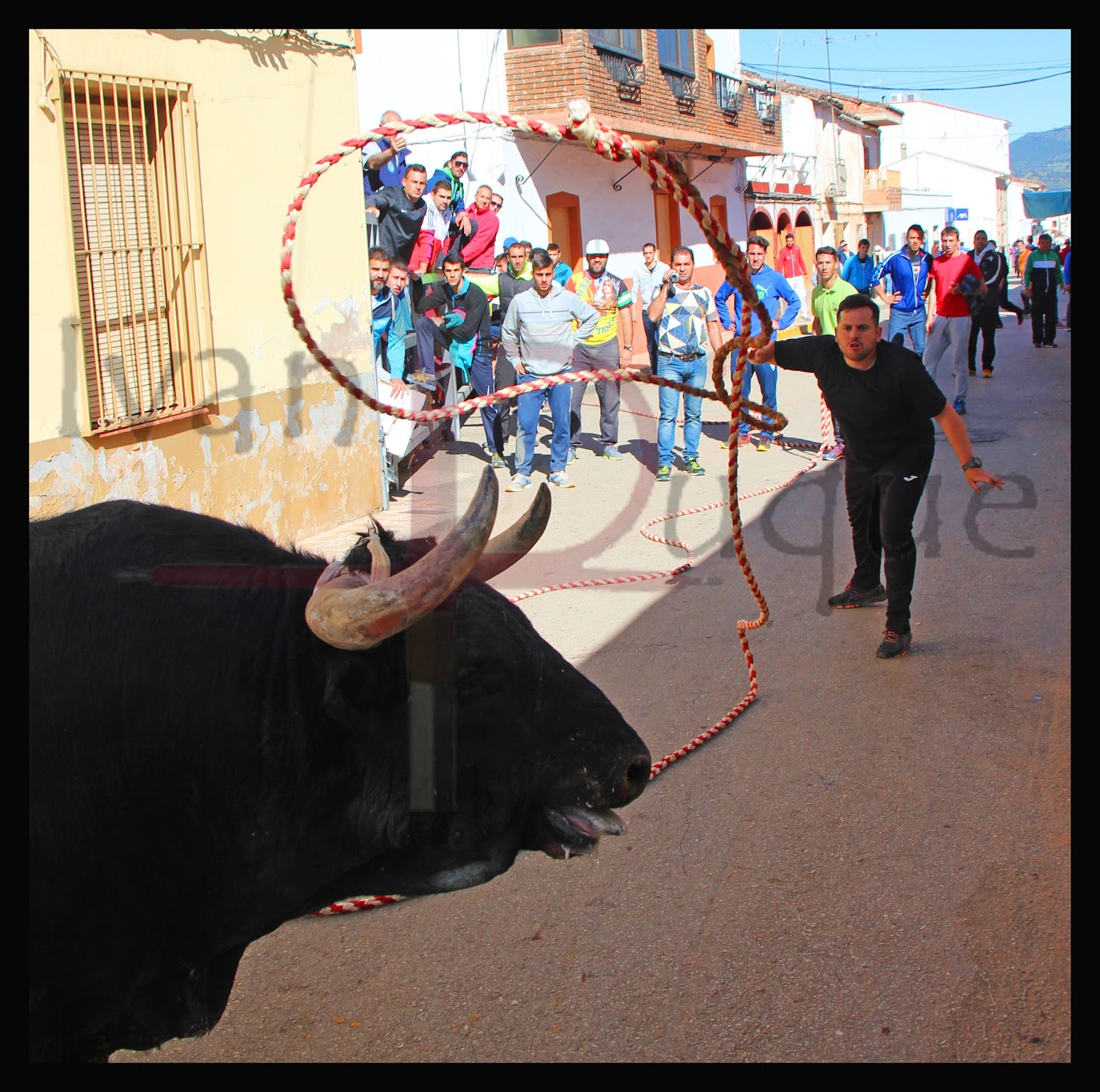 DESDETORILES SAN MARCOS 2016 (ARROYO DEL OJANCO)