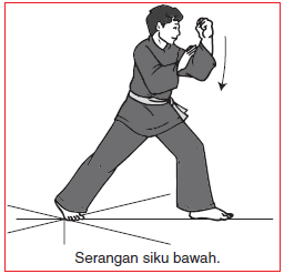 Serangan Pencak Silat Dengan Tangan Siku Dan Kaki Disertai Gambarnya Pukulan Sikuan Dan Tendangan