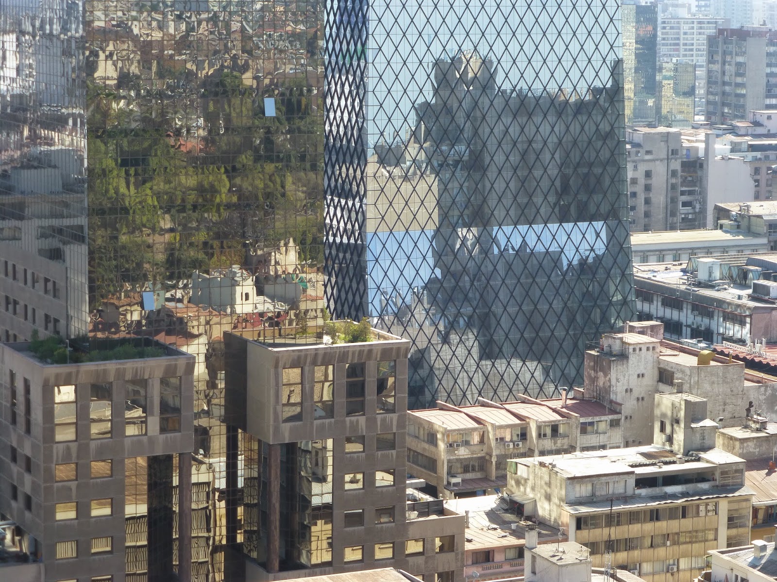 hähnchenknochen_hund — Mein Leben mit Hund