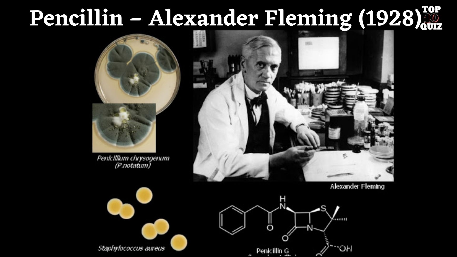 Alexander fleming discovered penicillin