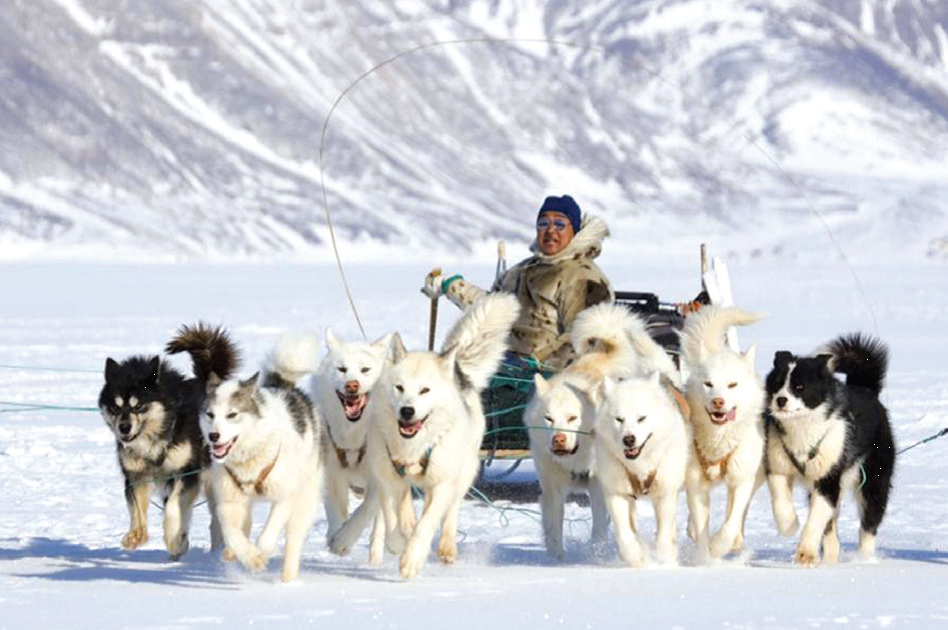 farkli yasam sekilleri ve iklim