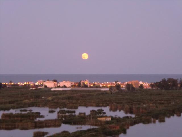 VISTA DE LA MARJAL