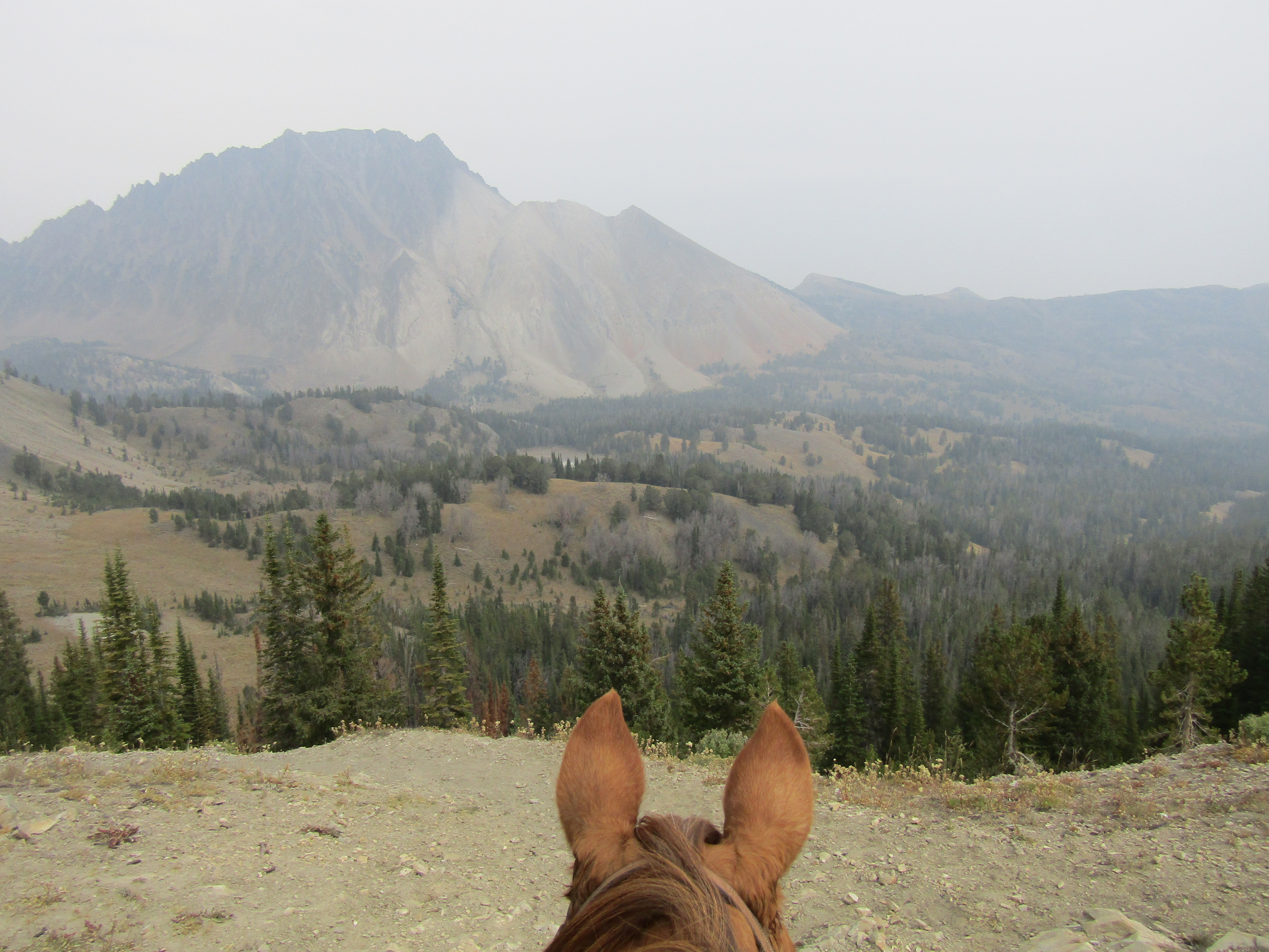 Holly's Horse Tales and Trails Tin Cup, Decker Flat, Iron Creek and