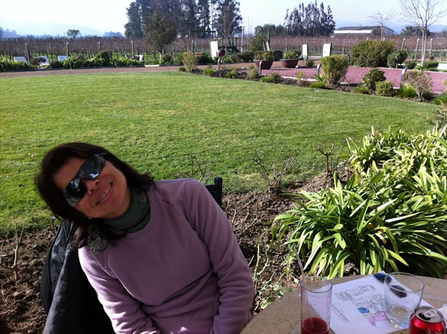 almoçando no restaurante Tanino, na vinícola Casas del Bosque