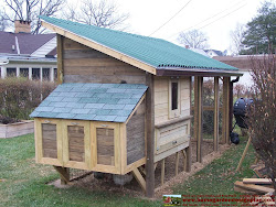chicken coop building build plans construction m101 success shed shelter easy making space thanks again