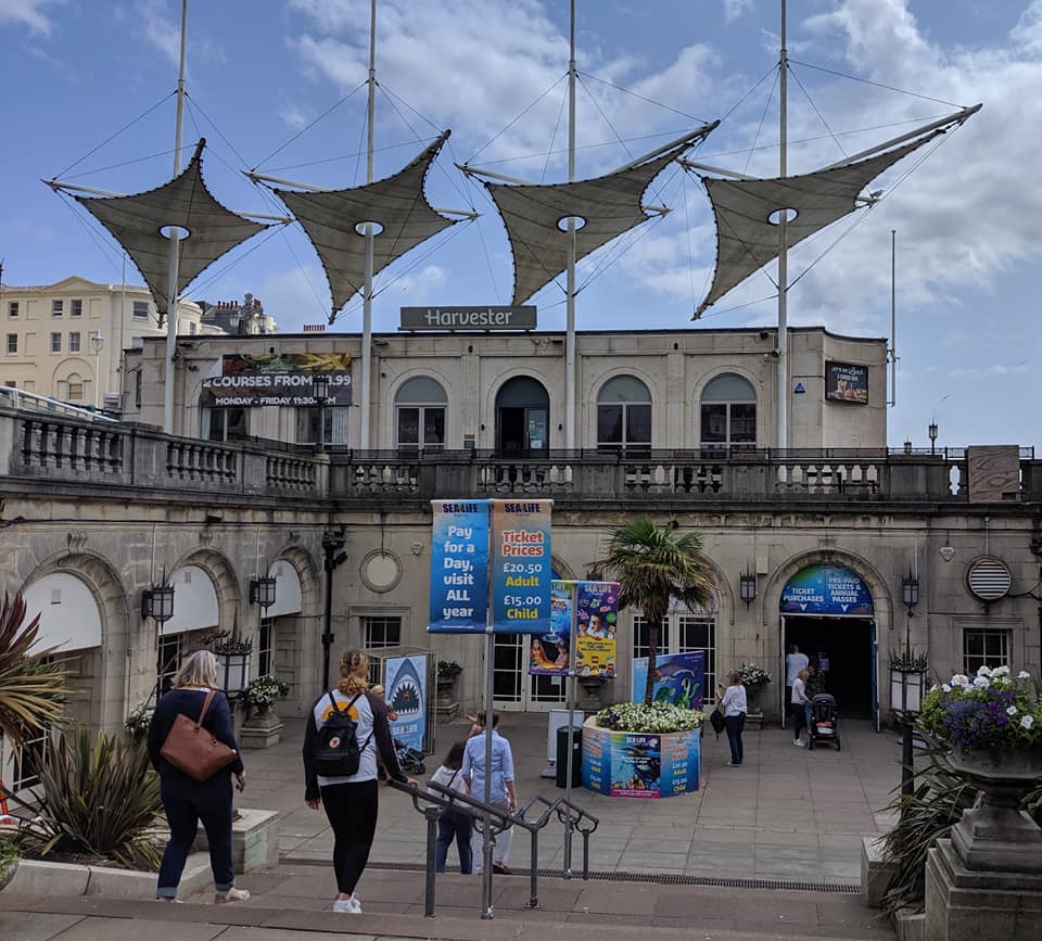 The Best Sea Life Aquariums in the UK North East Family Fun