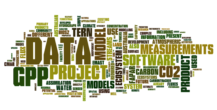 AP28 - Primary Production in Space and Time from a Wordle perspective