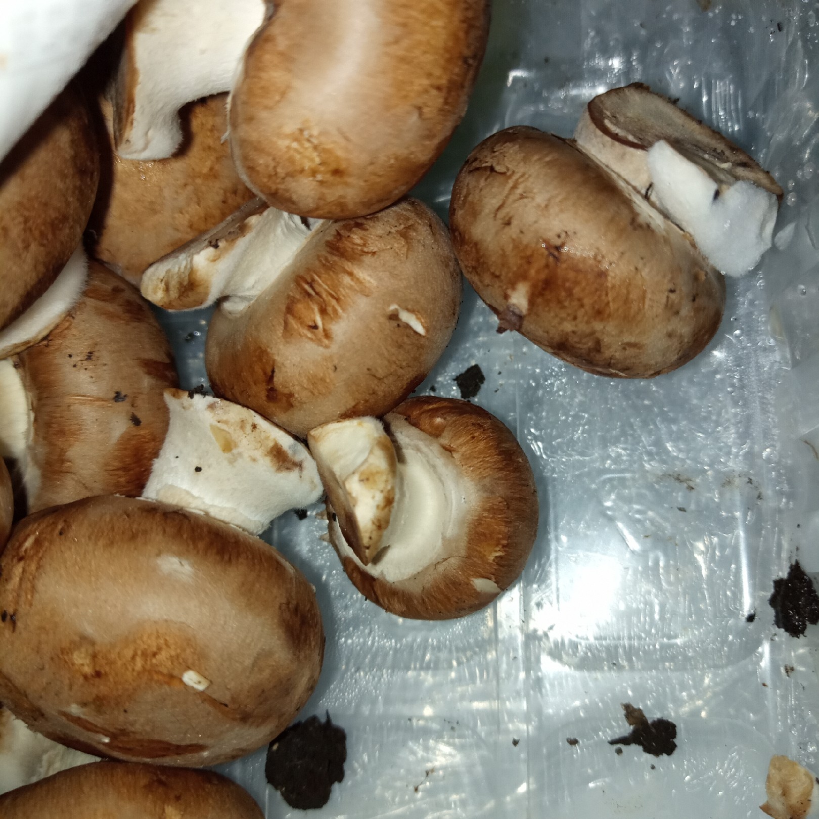 Supersupergirl's Food Reviews Lidl Oaklands Chestnut mushrooms