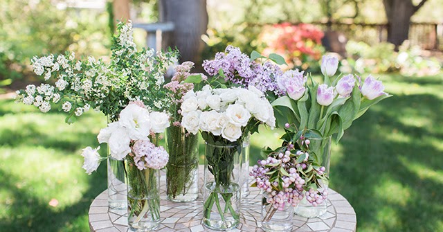 What S In A Name Buchner In Botany Colorado Garden Journal