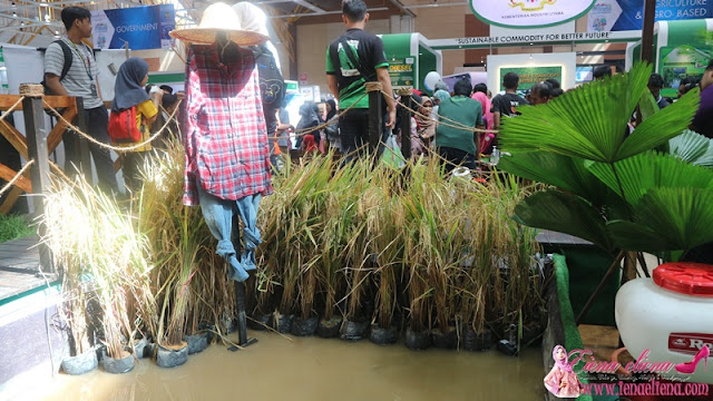 Kampung Pulau Pisang MAHA 2018