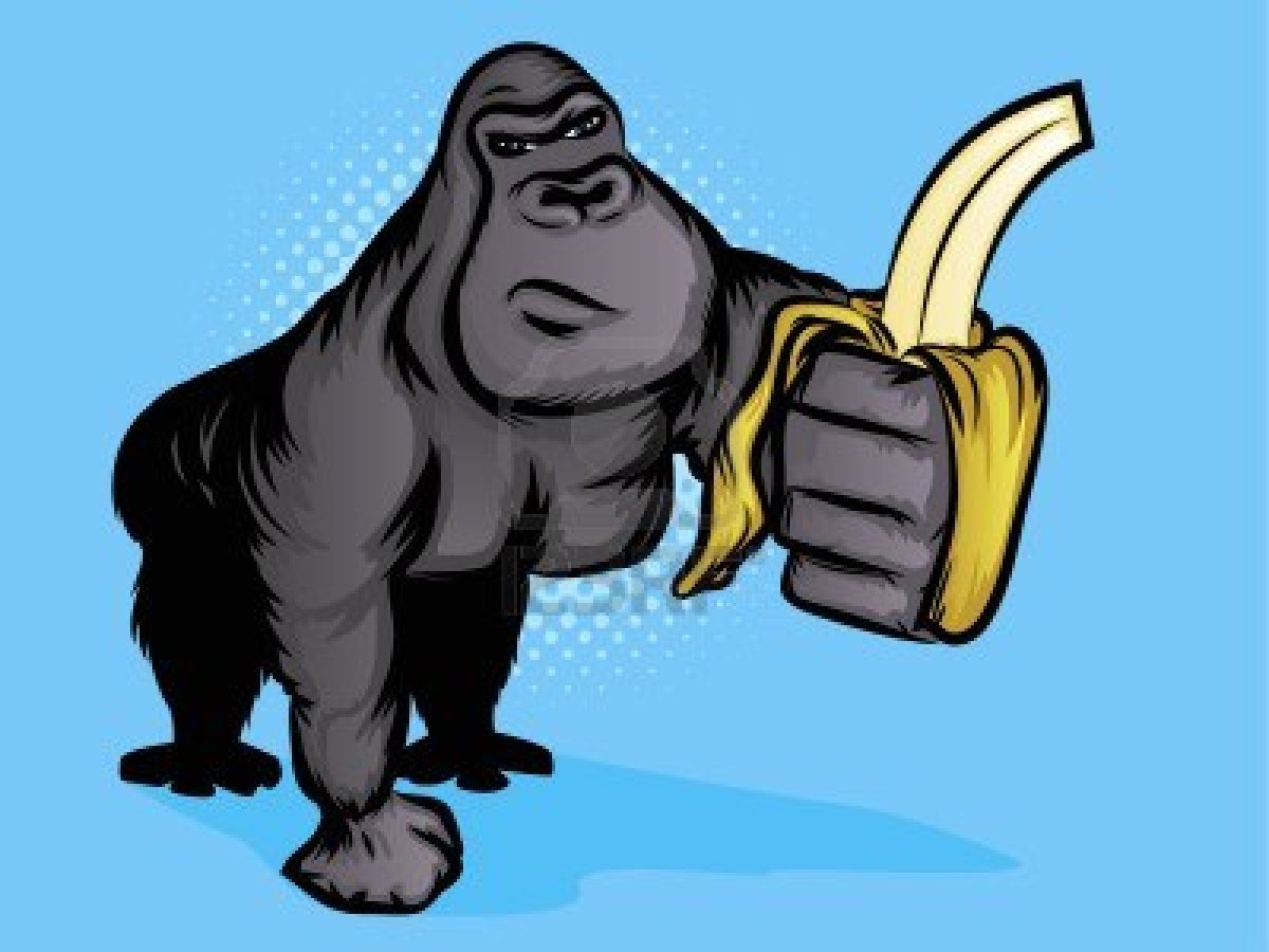 A Dreamer's Blog The Banana Theory of Gorillas