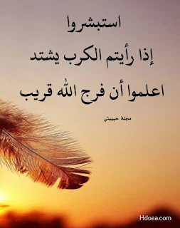 صور حلوه