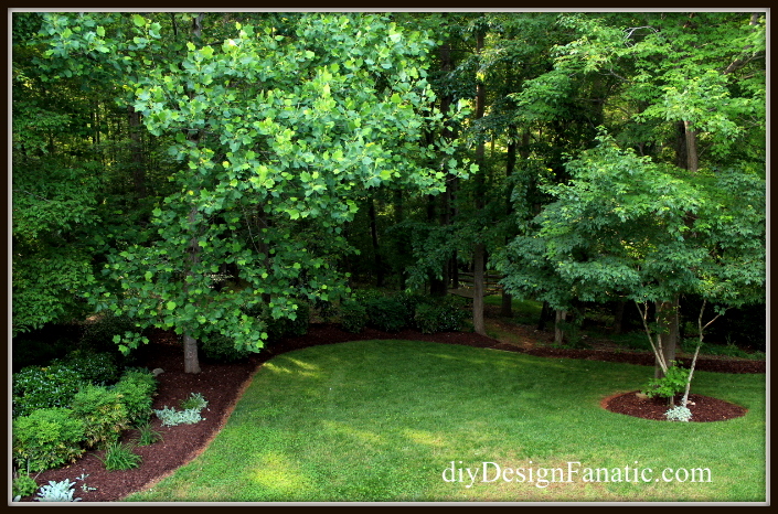 If you'd like to see how the garden before we did any work, you can