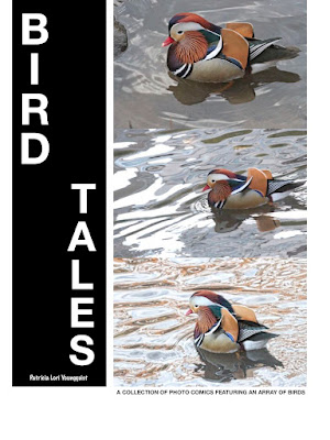 This image is of the cover for my book, "BIRD TALES." It has three views of the Mandarin duck who visited NYC. Info for the book is @ https://books.apple.com/us/book/words-in-our-beak/id1010889086