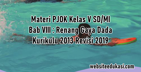 Materi Renang Gaya Dada Pjok Kelas 5 K13 Revisi 2019 Websiteedukasi Com
