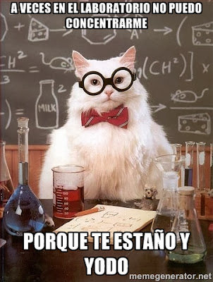 meme gato químico estaño yodo