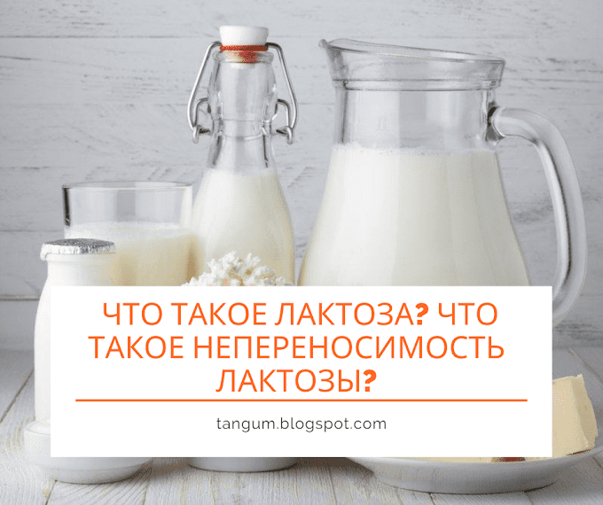 Препараты от лактазной недостаточности у грудничка. Козье молоко непереносимость. Аллергия на белок коровьего молока. Кисломолочная продукция при грудном вскармливании. Аллерген на коровье молоко.