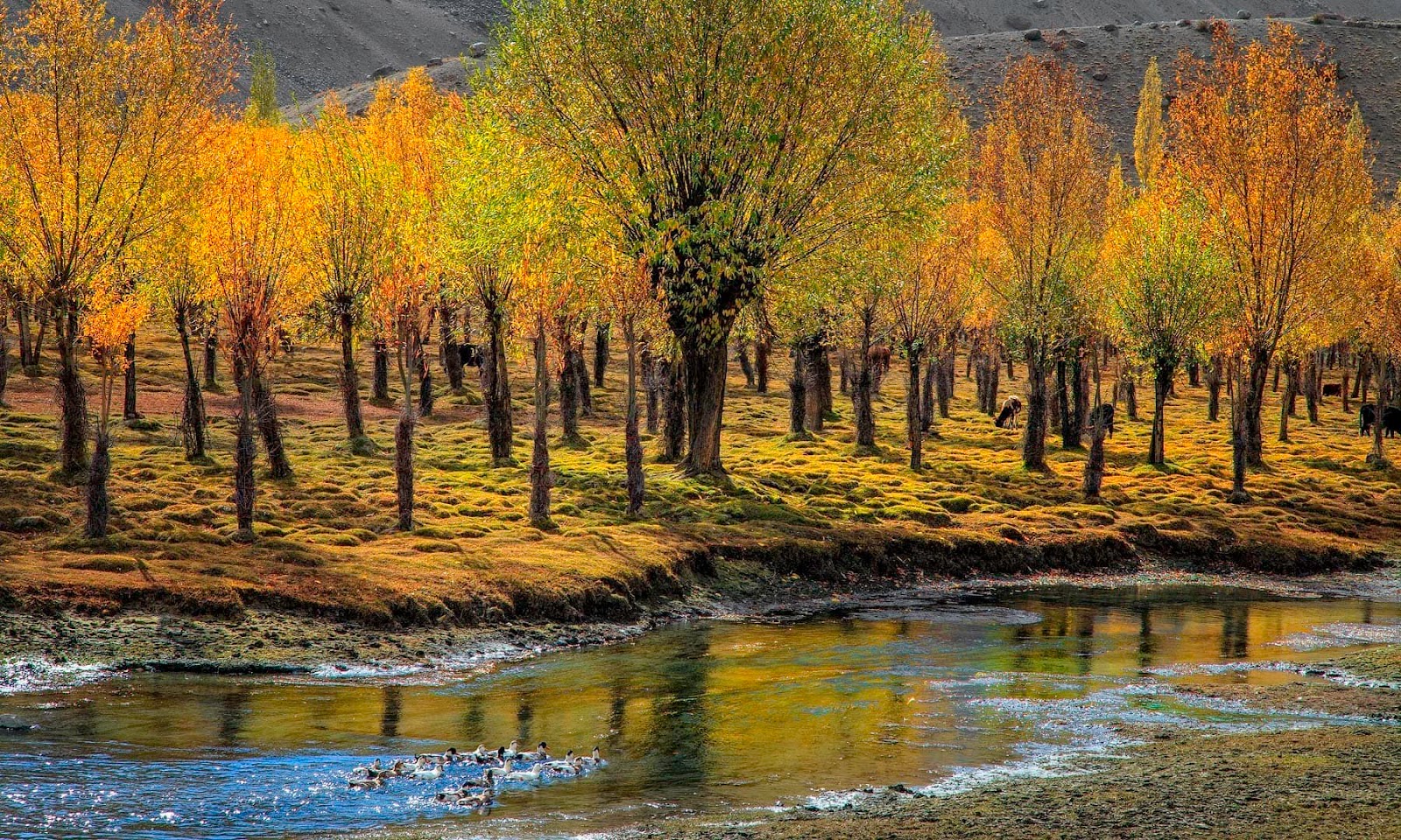 Gilgit-Baltistan 55816b155141c