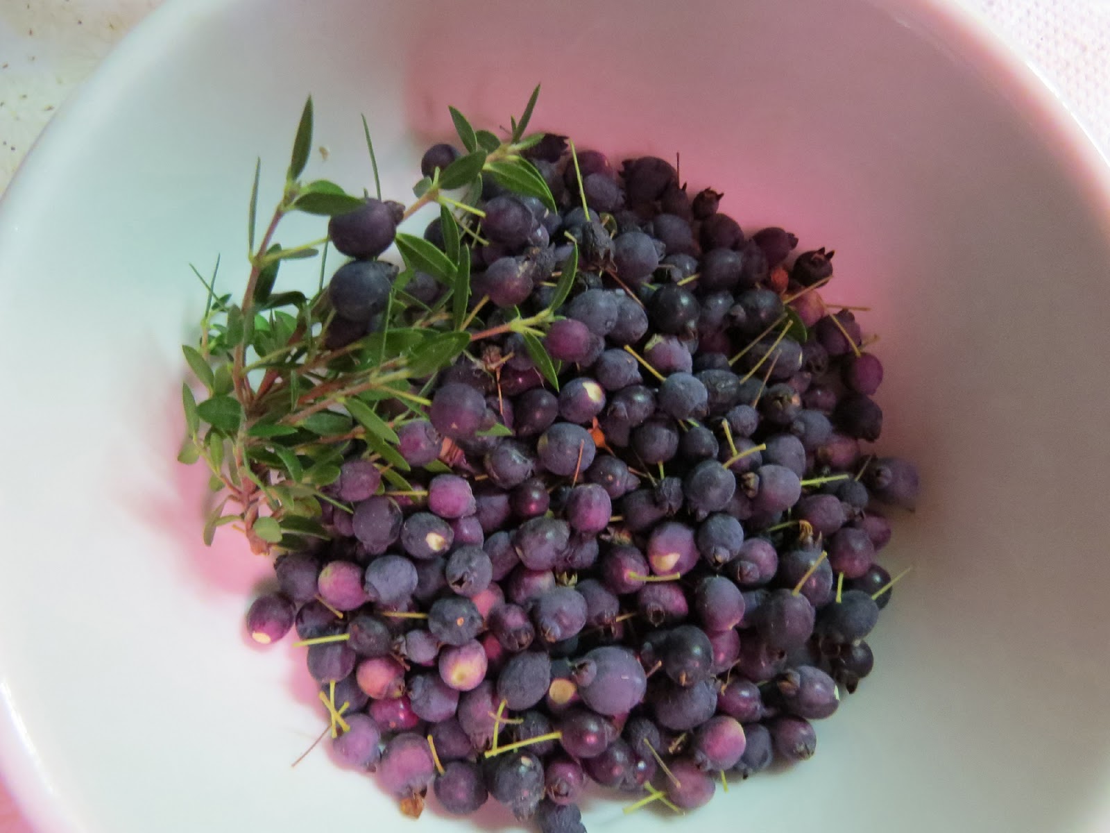 Edible Herbs, Flowers & Other Edibles Grow Your Own Dinner! In the Garden and Kitchen