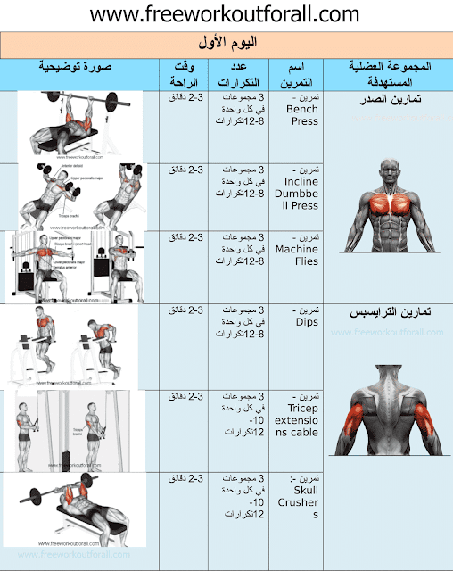 جدول تمارين كمال اجسام 4 أيام