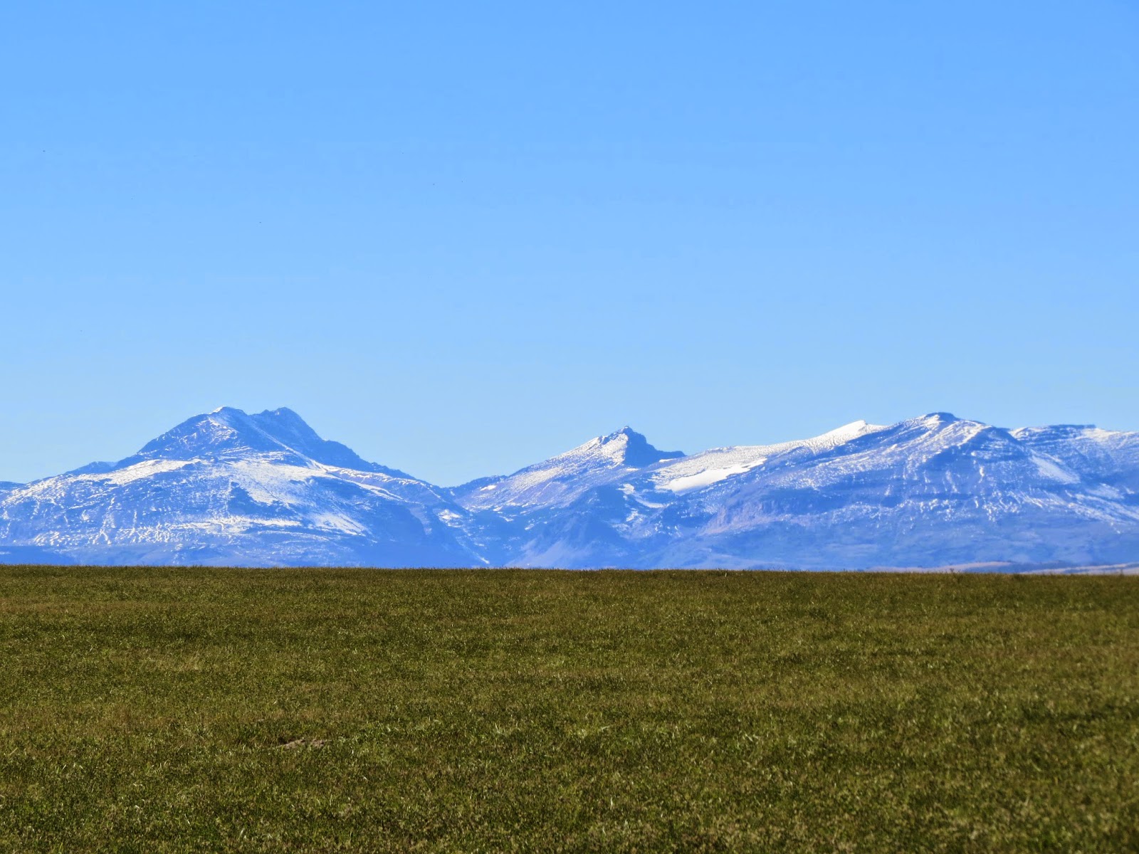 TRAVELS WITH BILL Browning, MT