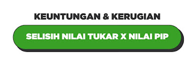 Adagalihdimari: Apa itu PIP