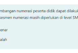 Pengimbasan literasi dan numerasi