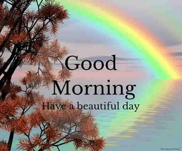 good morning with beautiful nature and rainbow image