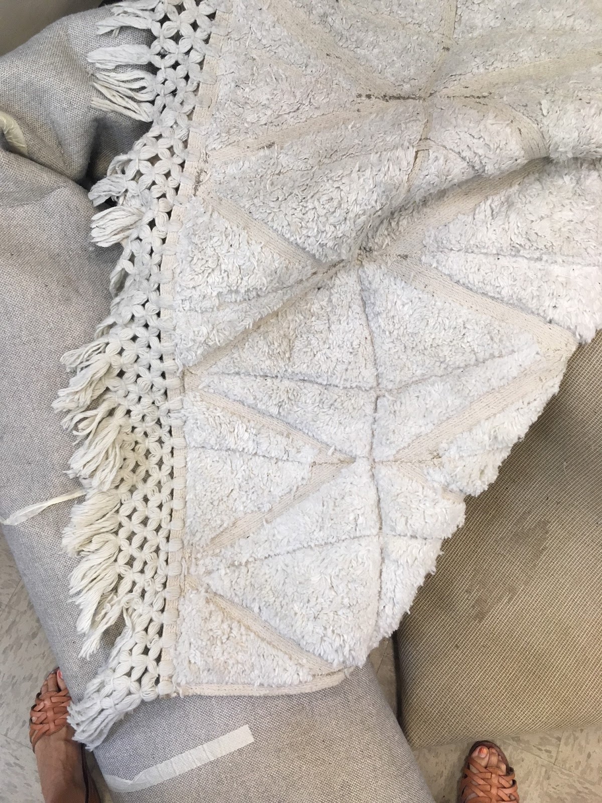 Spotted Goodwill Bean In Love