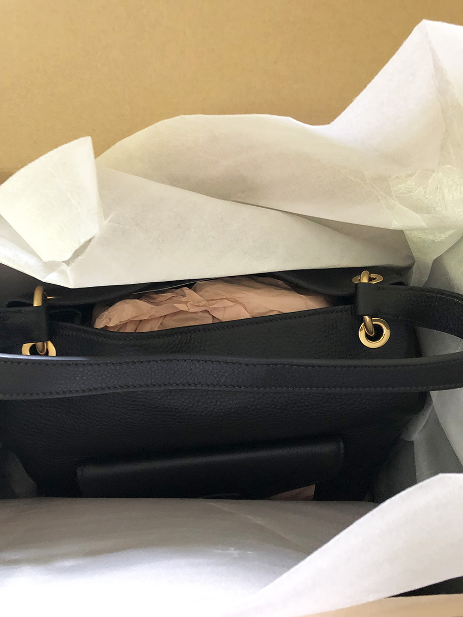 Miu Miu Coffer Bag Review 