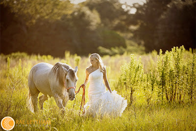 Bride and Horse in Yellow Field