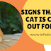Signs that your cat is crying out for help Signs that your cat is crying out for help