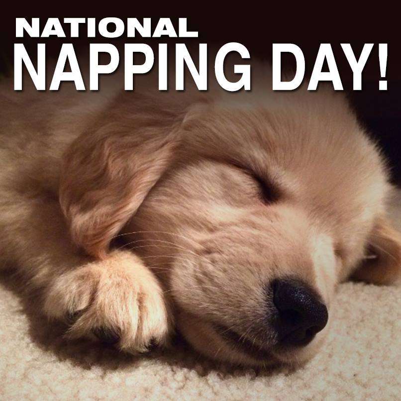 National Napping Day Wishes Awesome Picture National Napping Day Wishes Awesome Picture