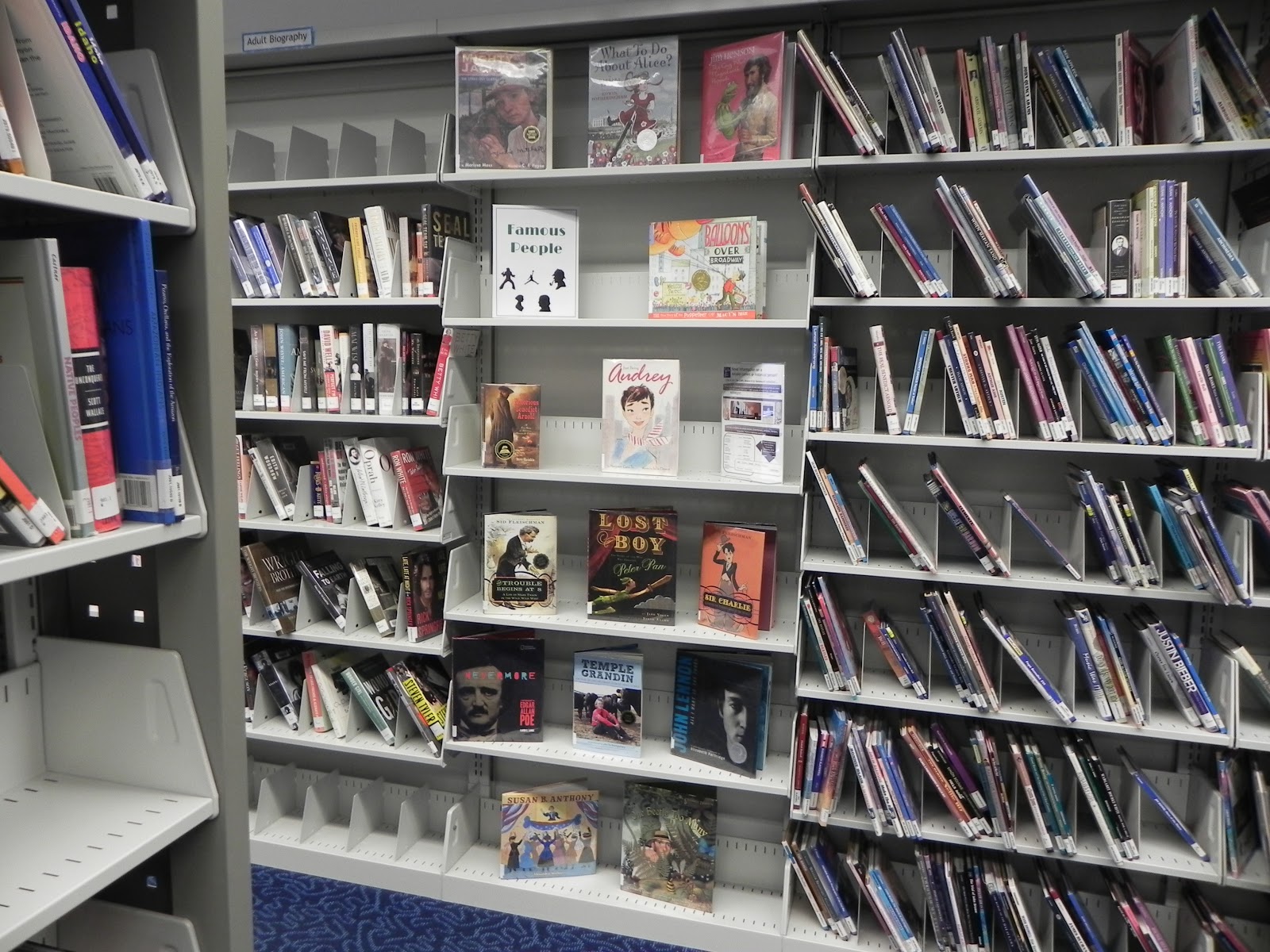 Libraryland: How to Make a Good Display