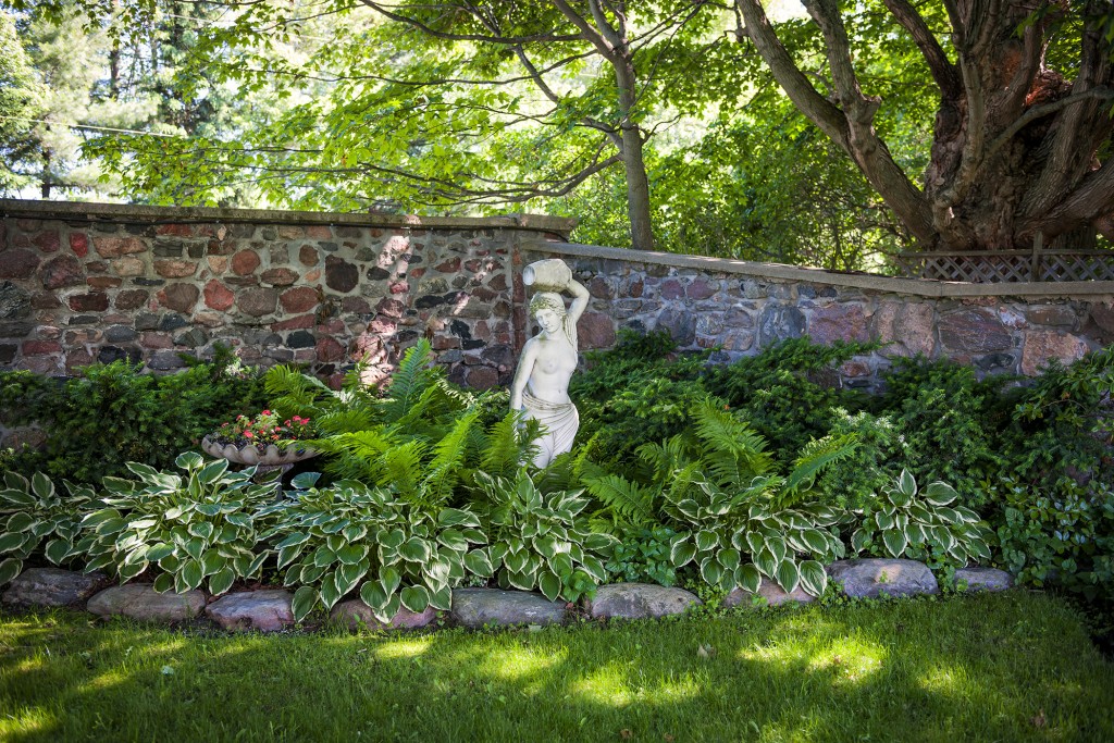 CLIMBING PLANTS FOR SHADED WALLS AND FENCES The Garden of Eaden