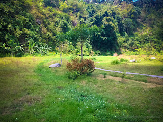 Natural View Hilly Valley Plants In The Warm Sunshine On A Sunny Day Around Titab Ularan Dam North Bali Indonesia