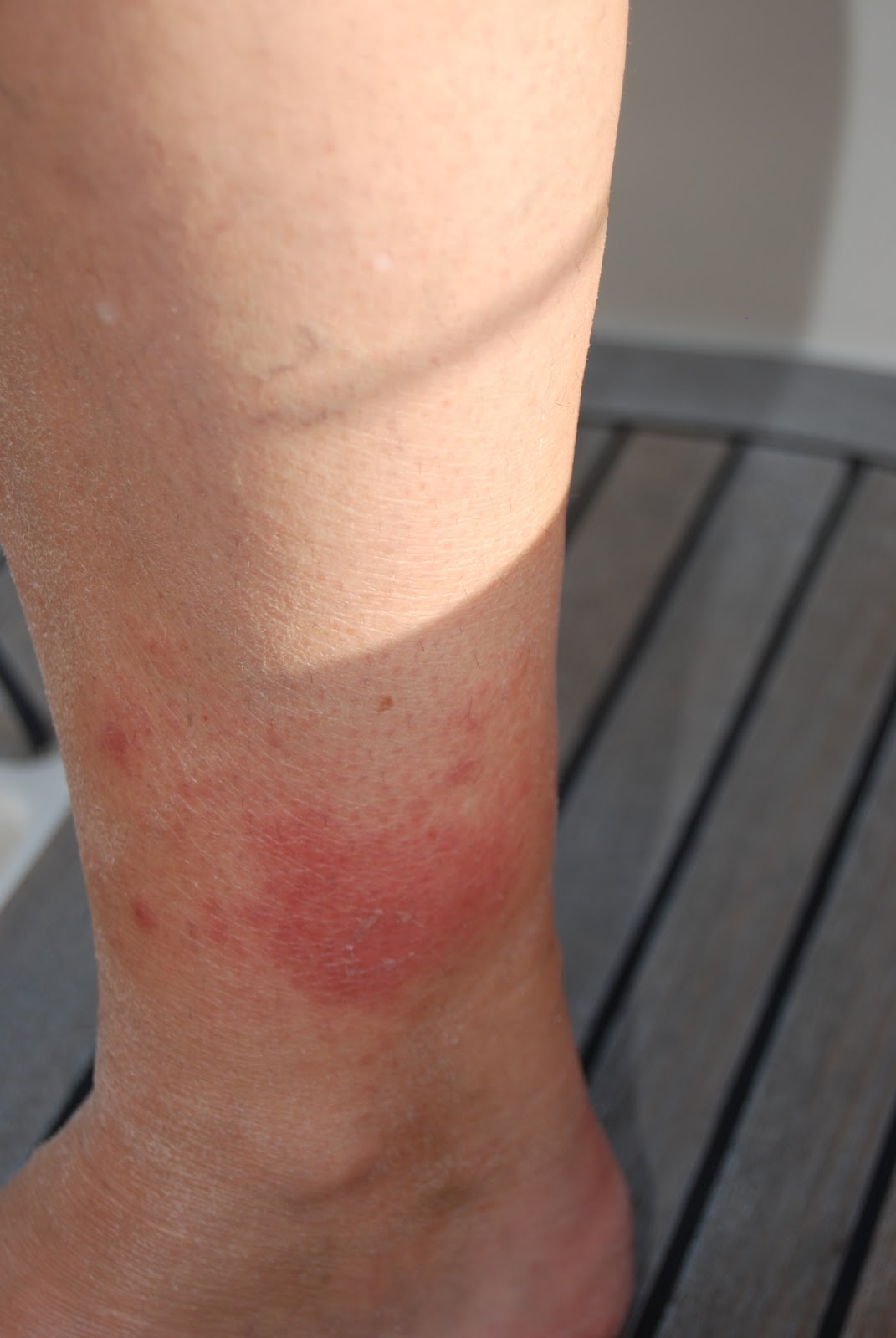 Zeilen met de BOREAS augustus 2013