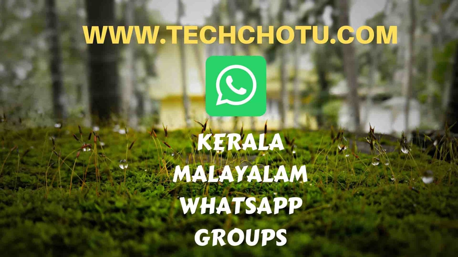 Malayalam sex chat whatsapp group link