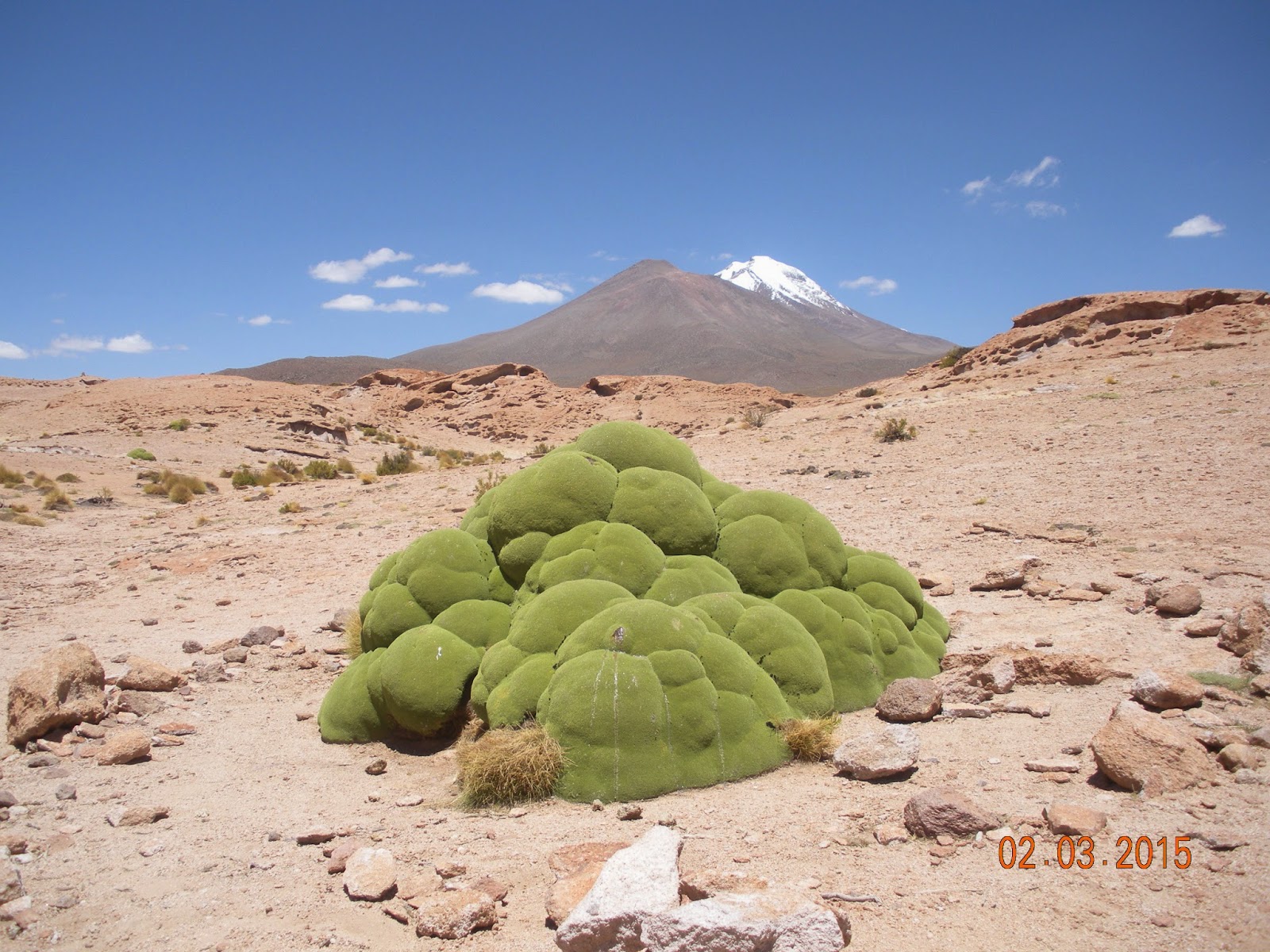 Atacama/desierto de Dali - Atacama (10)