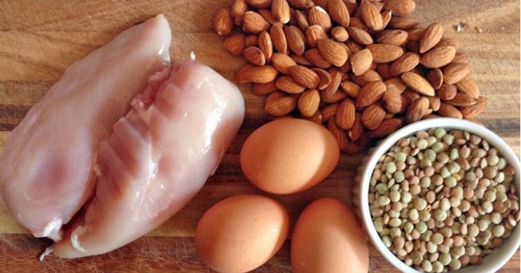 Will Too Much Protein Hurt Your Health? | Health life care insurance