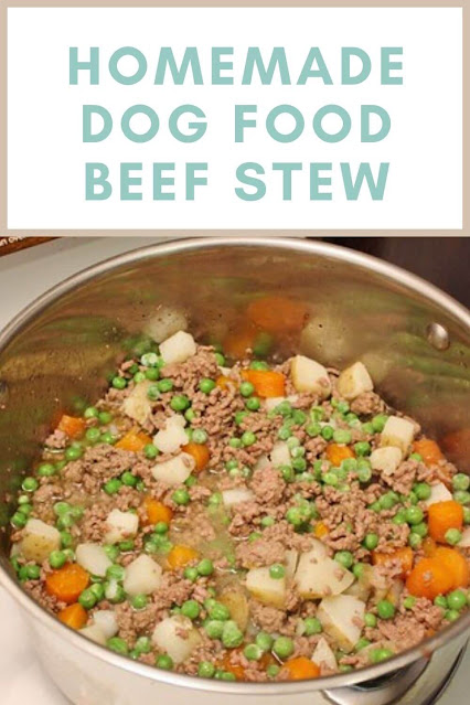 Homemade Dog Food Beef Stew
