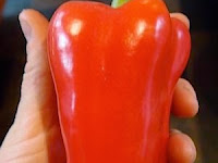 Great tips on growing peppers to maturity #Gardening
