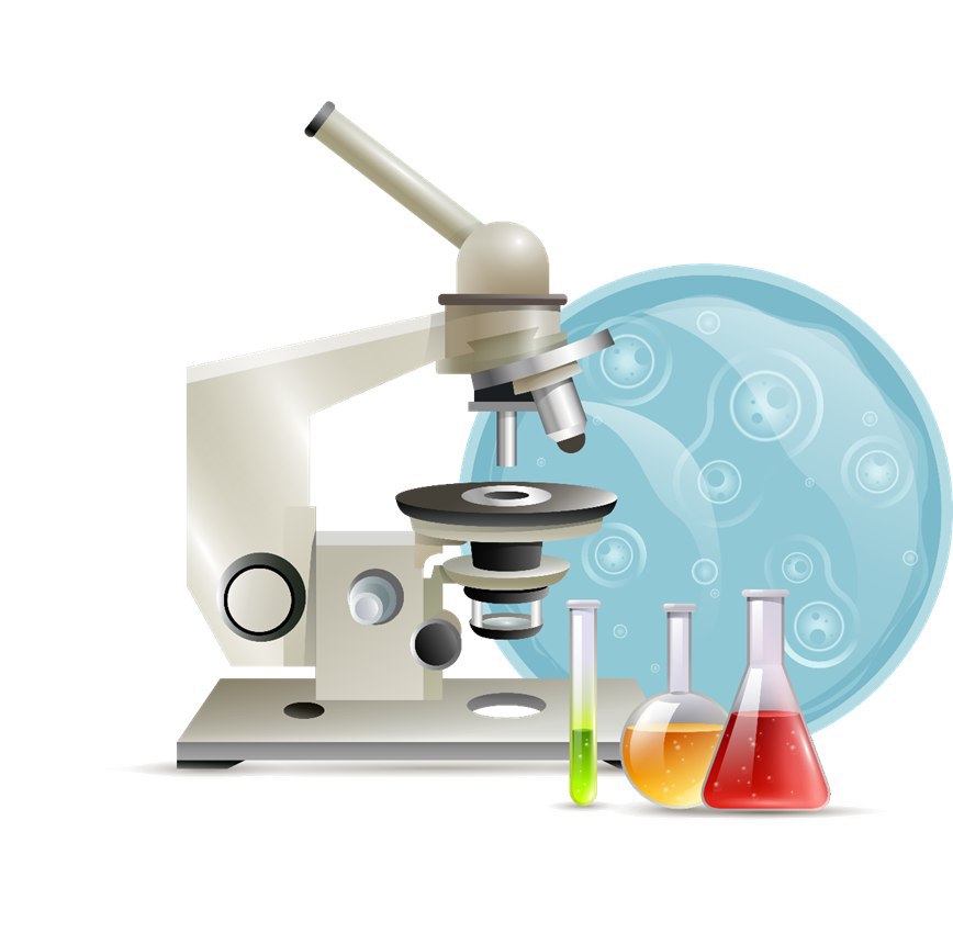 سلفات الأميكاسين Amikacin Sulfate