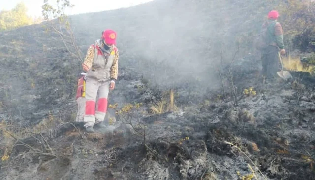 Bomberos y pobladores controlan incendio en Cusco