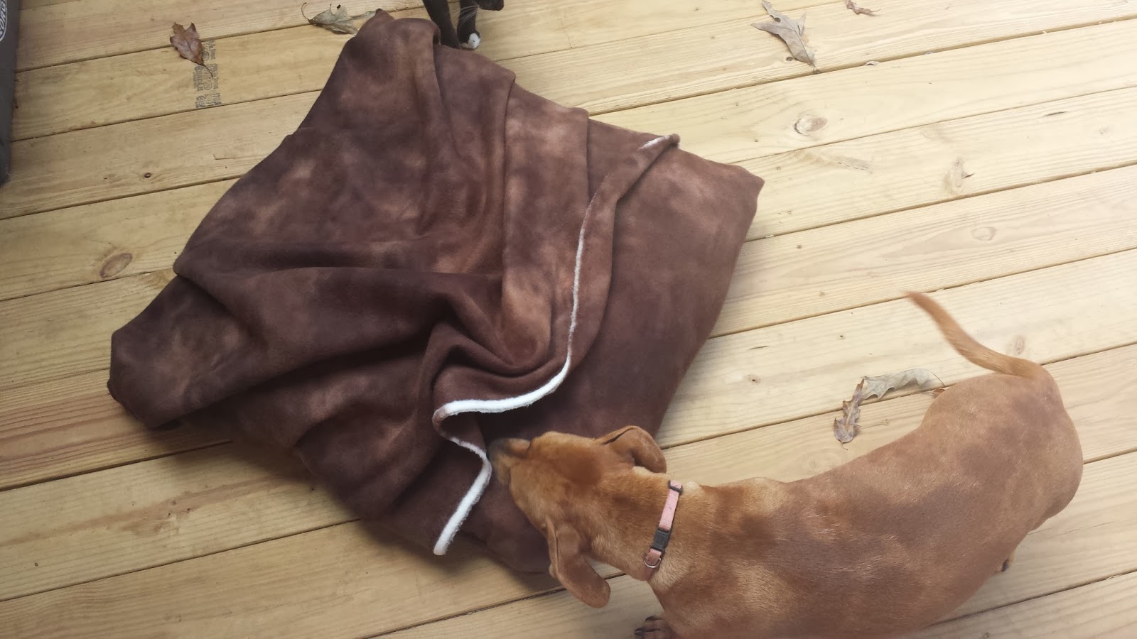 I'll Take My Wine in a Sippy Cup DIY Dog "Envelope" bed Or, Dog