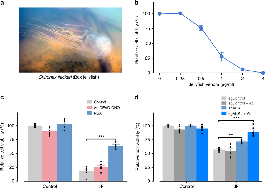 Box Jellyfish Venom Under The Microscope