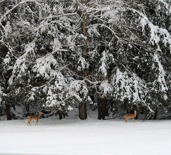 Невероятно нежное и элегантное, белое. Рождество